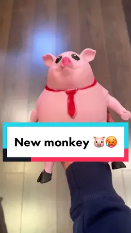 My new monkey 🐷❤️🥵 #asmr #satisfying 