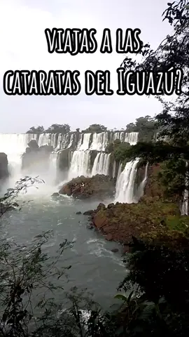 Cómo ir del aeropuerto de Iguazú al centro de Puerto Iguazú en colectivo.  #colectivoacataratas #cataratas #misiones #cataratasdeliguazu 