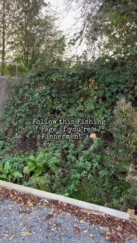Fishermen only… #fyp #foryou #foryoupage #fishing #fishinglife #fishtok #angler #carpfishing #nayzofishing #viral 