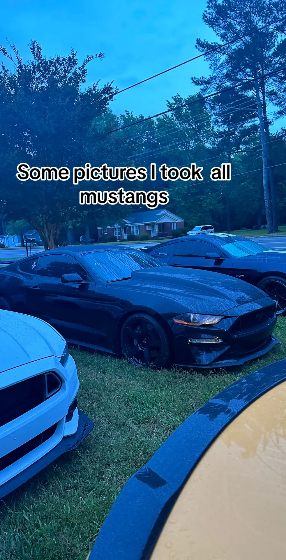 Mustang are the best muscle car ever there is nothing better #CapCut #motivation #fypシ #supercharger #10speedmustang #snackpack #dragpack #cowlhood #orangemustang #boostedcoyote #dragstrip #gen1coyote #foxbody #5.0 #cccworldwide 