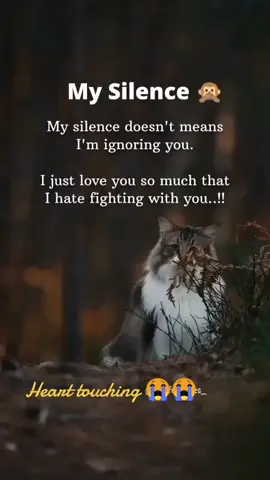 #my Silence🥺🥺 #Tagg your favorite person 🖤🖤 #tiktokqatrar🇶🇦🇶🇦 