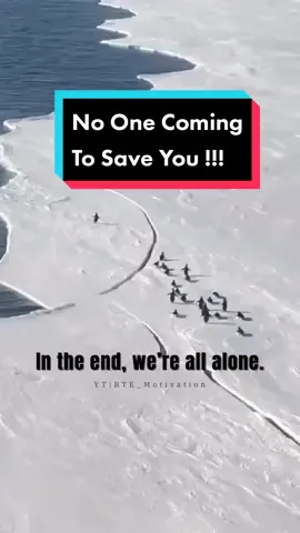 #goodmorning #motivated#SEAGames2023 #FreeYondOpen #fyptamilmalaysia🇲🇾 #fypシ゚viral #foryoupage #fyp #fy #tamilwhatsappstatus #fyyyyyyyyyyyyyyyy 