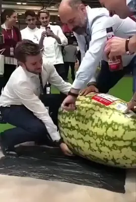#giant watermelon 🍉🍉🍉 #greenhousesg 