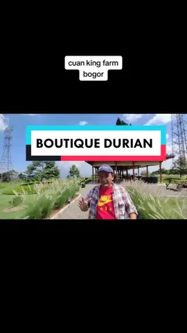 BOUTIQUE MUSANGKING . BISA DI CONTOH YA BUAT PEMULA YANG MAU NANAM DURIAN #fyp #cvkharismaagri #buahdurian #duriantraveler #musangking #cuankingfarm 