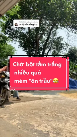 Trả lời @trân hạt bột tắm dưỡng trắng da không tẩy da nên không bắt nắng nhé #tắmtrắng #tắmtrắngtạinhà #làmđẹp #xuhuong #nguyệtđậuđỏ 