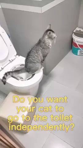 Cat toilet trainer