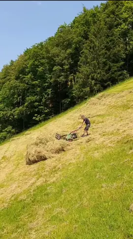 Hay harvesting 🇨🇭☀️ 2 #Engelbergertal #Nidwalden #swissalps #feelthealps #rapidtwister #rapid #myswitzerland #farmlife #swissfarming #mountainlife #mountains #naturelovers #hay #haymaking #schweiz #Suisse #fyp #fypシ #foryourpage 