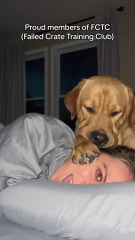 Actual footage from 5:47am this morning 😁 #billiethelab #gusthelab #billieandgus #fyp #dog #dogsoftiktok #labrador #dogowner #puppytiktok #labradorretrieverpuppy #dogsoftiktokviral #cutedog #puppy #puppylove #funnydog 