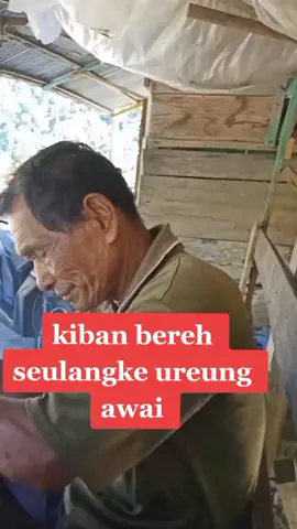 Seulangke ureung awai..#fypシ #jarangfyplagi #pidie #pidiejaya #pijay #pijay #pijaytiktok#laguaceh #tiktokacehlucu #acehmotivasi #acehtimur #acehmutuah #lhokseumawe_acehutara #lhokseumawe_aceh #acehtiktokerscomunity #acehutara #acehmalaya🇹🇷🇲🇾❤️ #bandaacehtiktok #bandaacehh #acehviraltiktok #acehmutuah #acehmotivasi #Acehutara