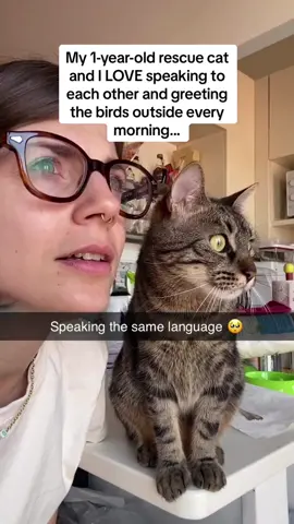 The cat’s HEAD RUB at the end 😭😭😭 Follow @Pubity for more #Pubity (@ale_theia_ via @ViralHog)