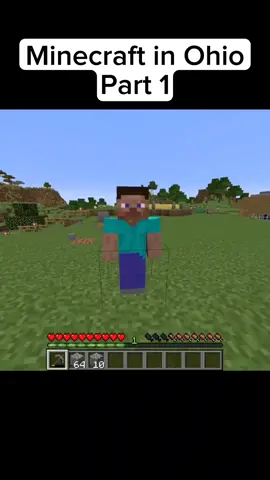 Part 1 #Minecraft #tiktokusa #minecraftmemes 