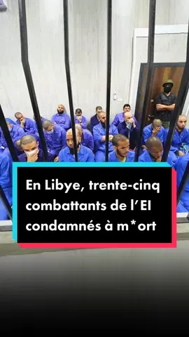 Penses-tu que la #France doit aider la #Libye à combattre l'État islamique sur son territoire ? #tiktokacademie #apprendresurtiktok #verdict #justice