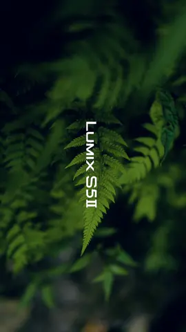 Nyobain kamera baru dari @lumix.indonesia Lumix S5II emang gokil banget ✨🔥