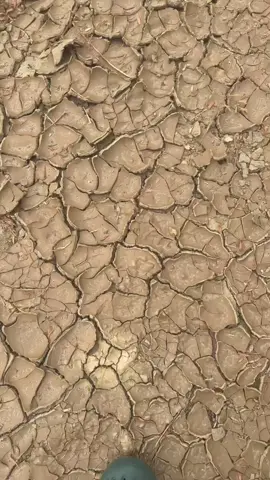 R u KIDDING?? #satisfying #crunch #dirt #dried #cracking #asmr #asmrsounds #asmrvideo 