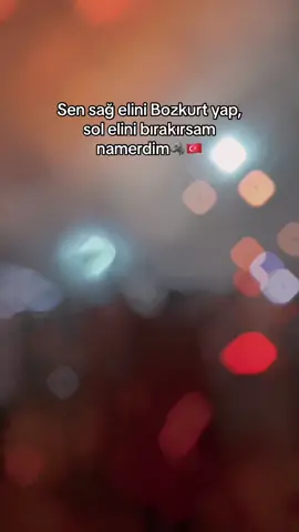 #CapCut #fyp #keşfet #bursa #ülkücüharekat #bozkurt🇹🇷 