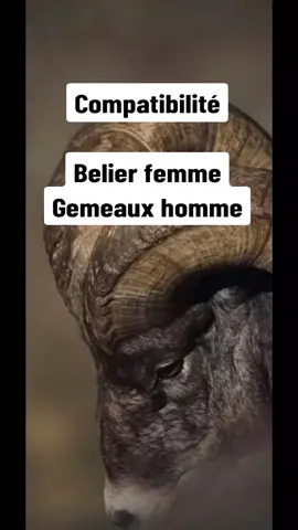 Compatibilité belier Femme Gemeaux homme #belier #gemeaux #pourtoi #pourcentages #signesastrologiques 