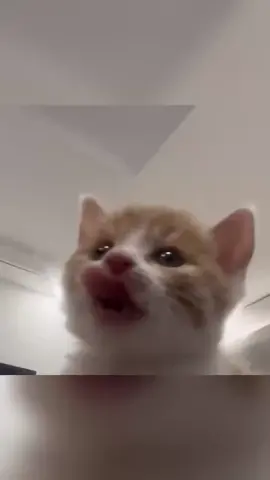 😘