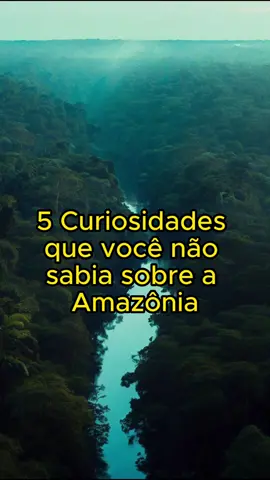 5 curiosidades que você não sabia sobre a Amazônia.  comenta ai se você sabia de alguma dessas.  #curiosidades #amazonia #capcut #tiktok #fyp #fy 