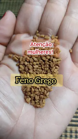 #fenogrego #chadefenogrego #saudedamulher #soueunofoco #piabeta #dica #vidasimples #cha #dicadecha #surui #mage #ayurveda
