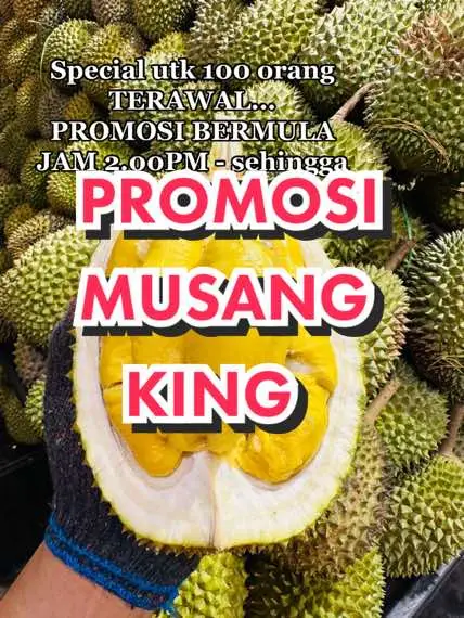 PROMOSI MUSANG KING, DURIAN PAKTEH SUDAH BERMULA 🔥 Berita gembira khas kepada semua peminat Musang King!!! 🔥 Original dari Balik Pulau, Penang & Raub, Pahang!! #kedaibuah #buahdurian #durian #warrantysetahun #paktehfruits #paktehfruitsviral #durianpaktehfruits #durianpakteh #kedaibuahviral 