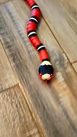 The little cat has a great time playing 🪱#cattoy #automaticsensingsnake #pettoy #smartcattoy 🐈🐈🐈#love❤️❤️ 