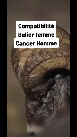 Compatibilité Bélier femme- cancer homme#pourtoi #compatibility #astrologie #belier #cancer 