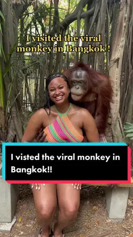 I went to safari world in Bangkok and got to see the monkey ! #bangkok #thailand #safariworld #safariworldbangkok #traveltiktok #travel 