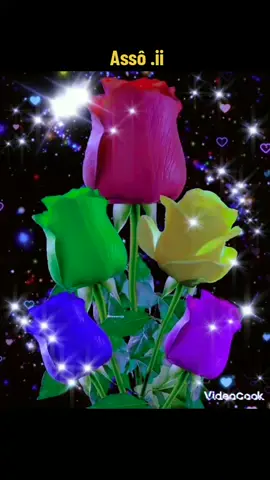 ❤❤❤❤❤❤❤❤❤❤❤❤❤❤❤❤🌹🌹🌹🌹🌹🌹🌹🌹🌹🌹🌹