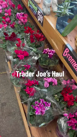 Trader joes haul! These sparkling watermelon juices are my favorite #traderjoes #traderjoeshaul #traderjoesmusthaves #traderjoesfinds 