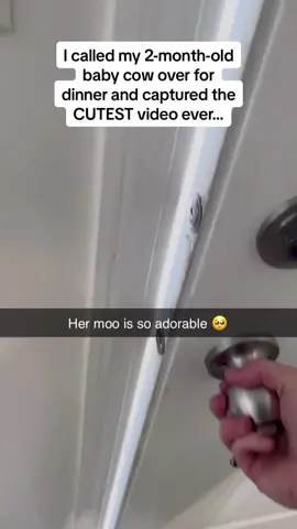 Her little run for food at the end 😭😭😭 Follow @Pubity for more #Pubity (Leanne Mastej via @ViralHog)