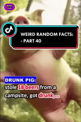 Weird random facts you didn’t know (part 40). #facts #animals #DidYouKnow