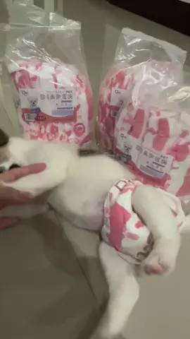 Check out nyo na yan😅😍#tiktokshop  #affliatetiktok 