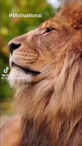 #motivational 