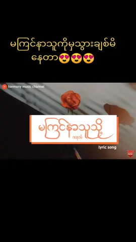 မကြင်နာသူကိုမှသွားချစ်မိနေတာ#မကြင်နာသူသို့ #ဂရေဟမ် #feeling #soung#2023tiktokmyanmar🇲🇲🇲🇲🇲🇲 #fypシ #tiktok #foryou #foryoupage #တွေးပြီးမှတင်ပါ #ရောက်စမ်းfypပေါ် 