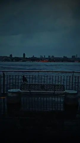 سعد الصغير وحيات قلبي اللي مات 🖤🎧       #kazanofa.77 #fypシ 