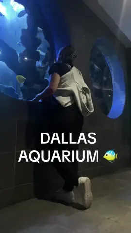 Un date conmigo en el acuario jiji #fyp #aquarium 