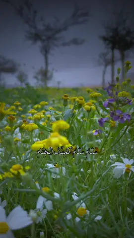 لمن تُهدي هذي الابيات ^^ سَكَنْتُم فُؤَادِي وَرَبّ الْعِبَاد ^^ #تصميمي🎬 #تصويري📸#امي #صديقي_المفضل 