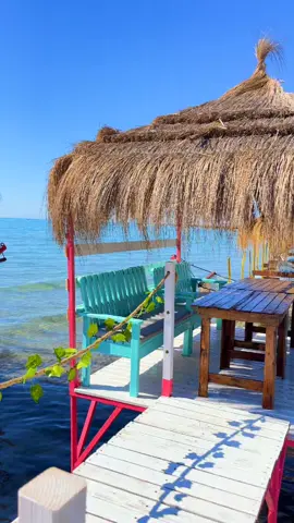 Flamingo Coucou Beach ❤️🦩 Info & Réservation ☎️ 50 180 150  #flamingocoucoubeach #coucoubeach #gharelmelh #bizerte #Tunisie #CocoBeach #Summer #enjoy #relax #beach #restaurant #fruitsdemer #bateau #baladeenbateau #baladeenmer #famille