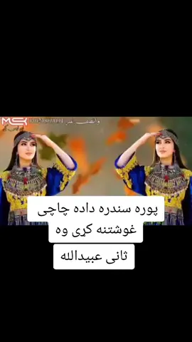زړه می دالته دی چی ته یی 