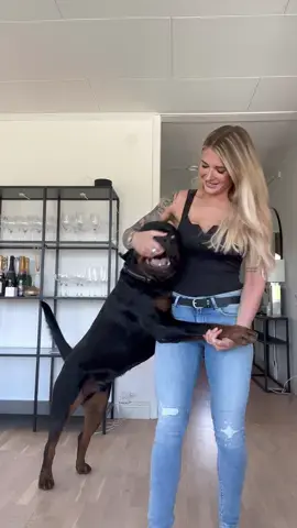 Wait till the end to see his true personality!😅🍼 #dogsoftiktok #rottweiler 