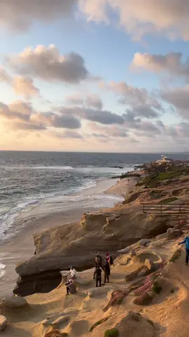 ☮️ 