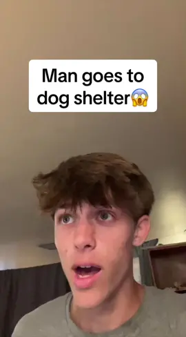 I would buy those dogs #meme #skit #edit 