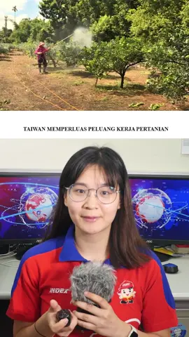BERITA RESMI ! PEMERINTAH TAIWAN MEMPERLUAS PELUANG KERJA SEKTOR PERTANIAN! #kabarbaik #beritataiwan #taiwanindo #indotaiwan #fyp #beritataiwan #taiwannews #beritatkitaiwan