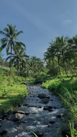 Salah satu spot piknik tepi sungai ya disini, Bendungan Ngusri Gandusari. Arus sungai nya cukup tenang dan kanan kirinya pepohonan yg membuat makin rindang & asri. Ohh iya, kalau piknik / main disekitar sini jangan meninggalkan sampah ya.. Ada yang pernah kesini? _ #shareblitar #infoblitar #blitar #jelajahblitar #wisatablitar #blitarasyik #blitar24jam #bendungan @Shareblitar @Jelajah Blitar @Blitar Asyik @blitar @Santoso 