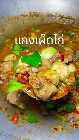 #แกงเผ็ดไก่ #แกงไก่ใส่มะเขือ จะเรียกว่าอะไรก็ได้ เป็นเมนูเพิ่มข้าวอีกแล้ว #tiktok  #ห้องครัวtiktok  