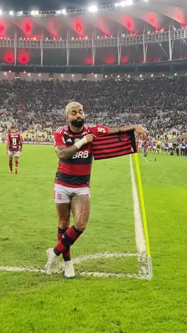 Compartilhe com aqueles que precisam ver a expressão do @Gabriel Barbosa em mais uma comemoração decisiva.  #flamengo #vamosflamengo #gabi #gabigol #copadobrasil2023 #flaflu #tiktokesportes 