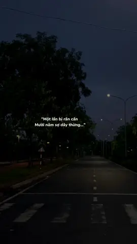 Bạn hiểu câu nói này chứ?  #xuhuong #tamtrang #17_1th9 #fyp 