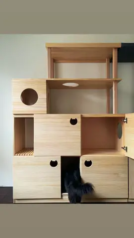 #貓爬架 Cat Tower