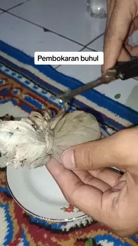 Pembokaran buhul #gangguansihir #gangguanjin #TikTokPromote #buhulansihir #buhul #buhulsihir #buhulama 