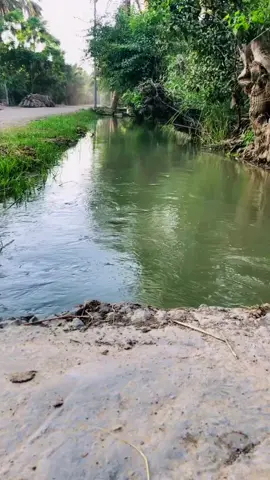 #بساتين_ديالى_زهيرات #العراق🇮🇶 #بساتين_ديالى #مناوي_باشا #سحر_الطبيعه #انهار 
